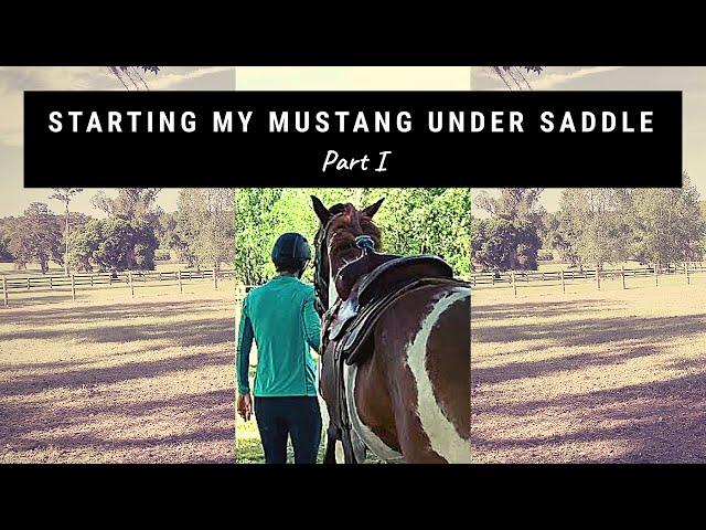 Starting my mustang under saddle (Part 1)