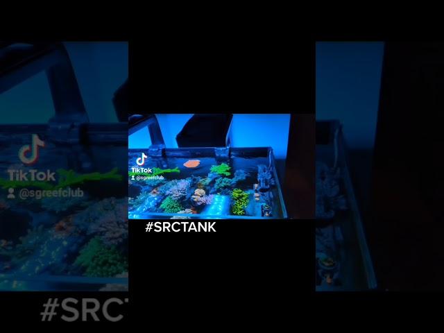 SRC tank update Oct 2021