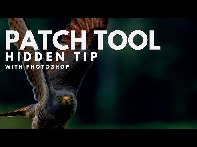 The Hidden Trick to Photoshop's Patch Tool