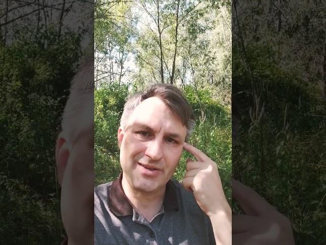 Если ваш интернет магазин не приносит заказы, скажите ЭТО своему директологу или рекламисту