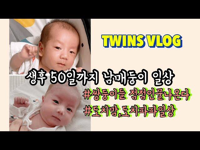 VLOG | 남매둥이 생후 50일까지 | 먹놀잠 쌍둥이신생아 일상 | BCG접종 | 셀프수유쿠션 |첫 외래진료