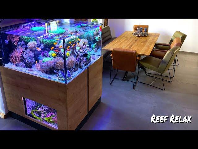 REEF RELAX - "reef tank ambiente" - 850 liter + seahorses