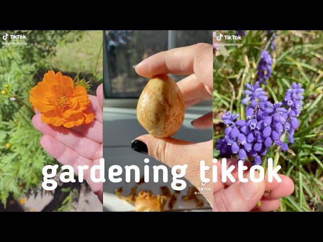 plants on tiktok | gardening/farming compilation