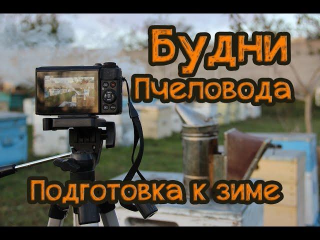  Моя Пасека | [Подготовка к зиме] | [Пчеловодство]