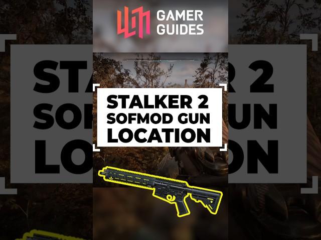 Discover STALKER 2's SOFMOD Rifle NOW