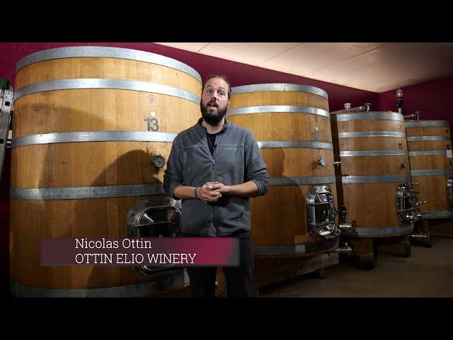 Nicolas Ottin of Ottin Elio talks Valle d'Aosta wine