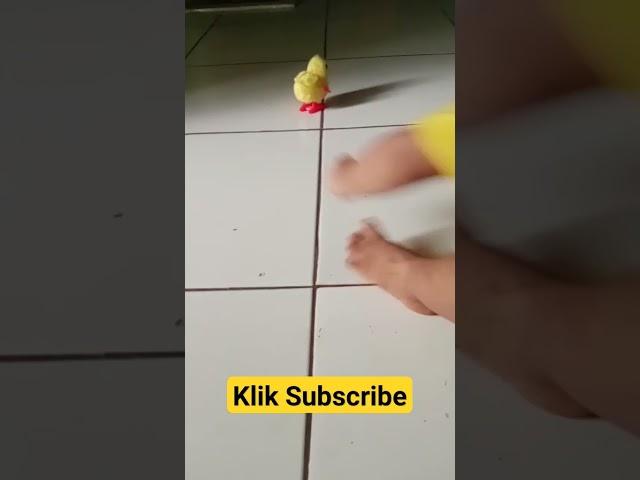 Tek ketek ketek .....