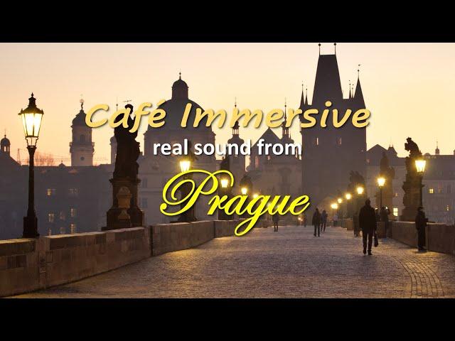 7 hours of Actual Prague Cafe Sound with Cozy Jazz #Cafe #ambiance #playlist #ASMR