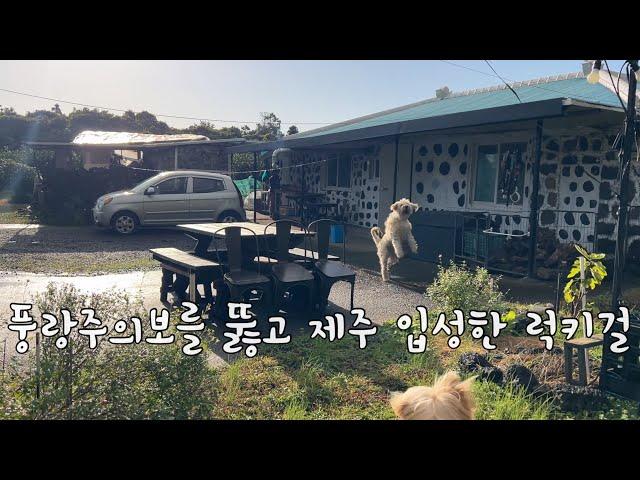 SUB 단순로그280 풍랑 주의보를 뚫고 세 식구 제주 입성한 럭키걸 vlog