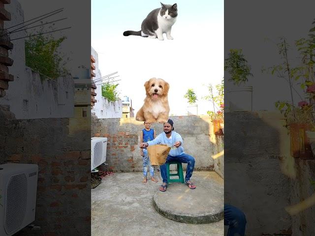 Puppy game funny vfx magic | Kinemaster editing | Ayan mechanic