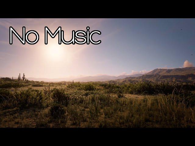 Red Dead Redemption 2 - Desert Sunset/Sunrise Ambiance [NO MUSIC] (birds, bugs, day/night)