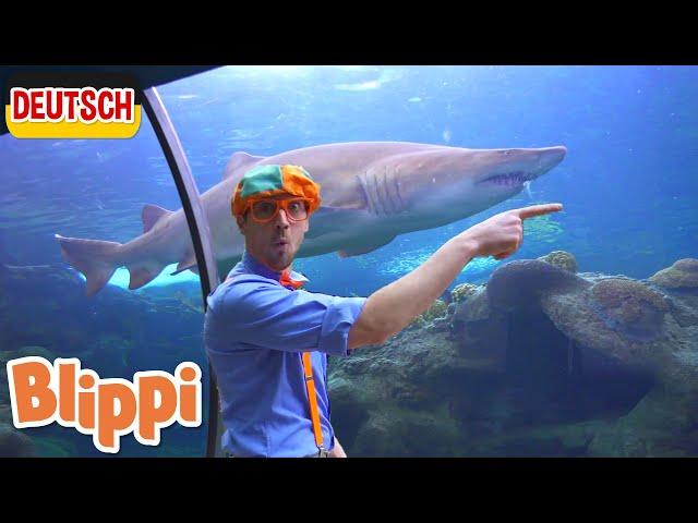 Blippi Deutsch - Blippi im Aquarium  | Abenteuer und Videos für Kinder