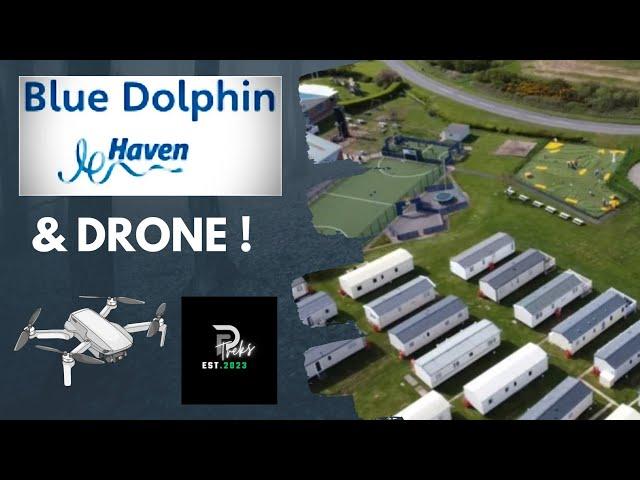 Haven, Blue Dolphin & Drone! Filey, UK (May 2024)