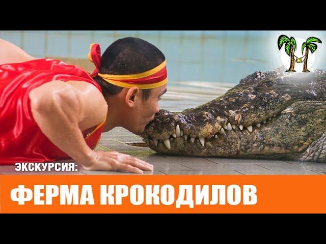 Ферма крокодилов на Пхукете 2024