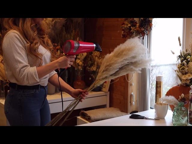 How to Fluff Up your Pampas Grass