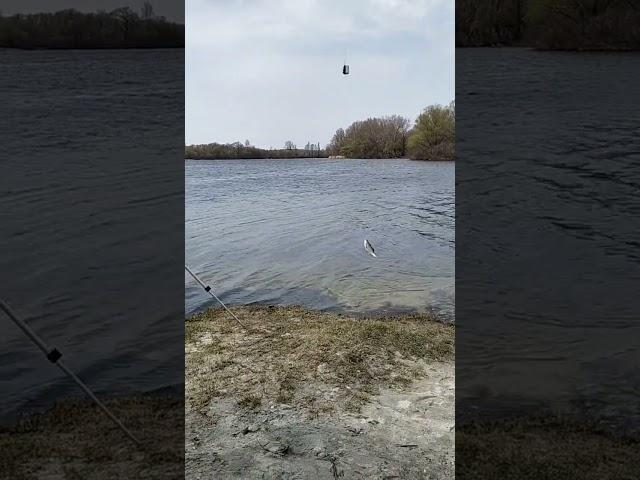 Хапуга ой і  хапуга