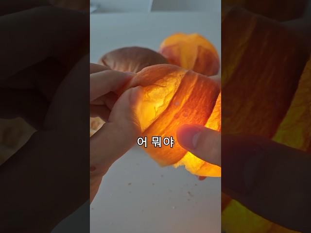 테무산 빵 조명은 진짜 빵이래서 사봤는데..