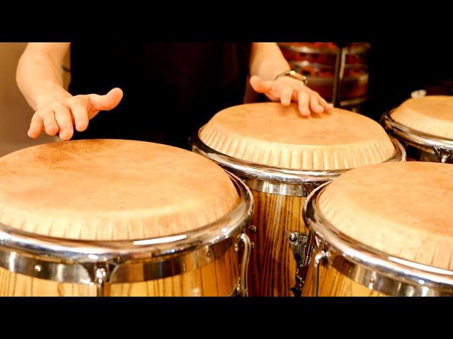 Advanced Rudimental Conga Solo Phrase [Salsa / Timba / Latin Jazz / LP Giovanni Palladium Congas]