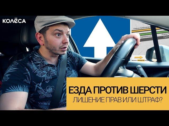 Езда против шерсти. Лишение прав или штраф? / Молодец, Колёса, молодец! / Таксист Русик на Kolesa.kz