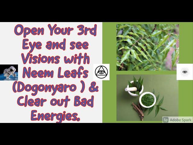 How to Get into Trance and see Visions with Neem Leafs (Dogonyaro ) & Clear out Bad Energies.