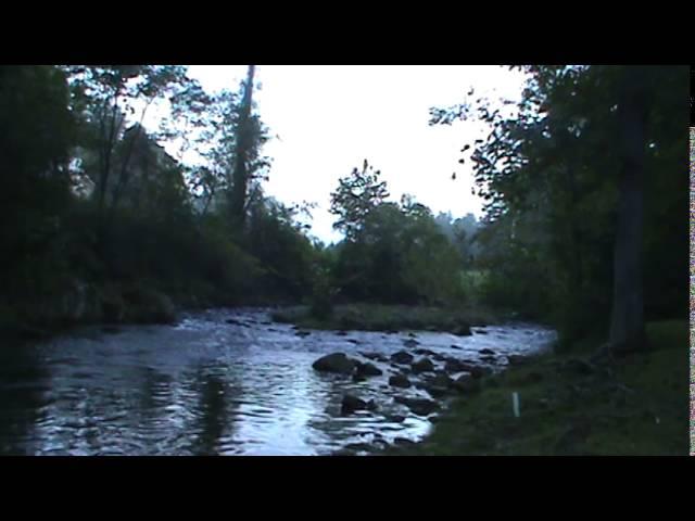 Calming Creek