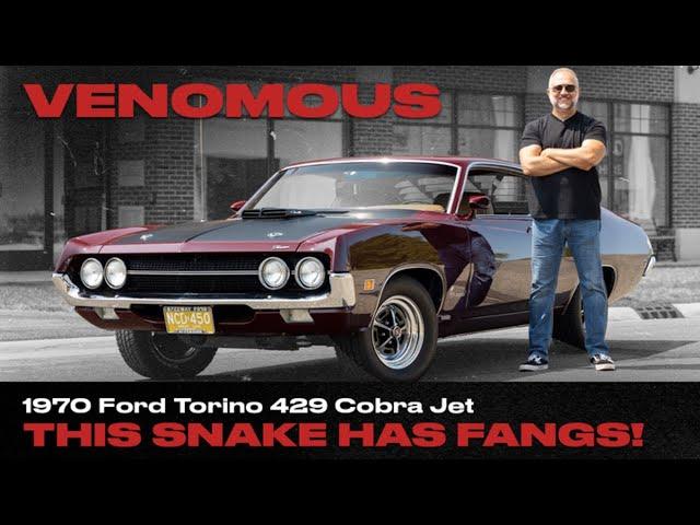 1970 Ford Torino 429 Cobra Jet: This Snake Has Fangs!