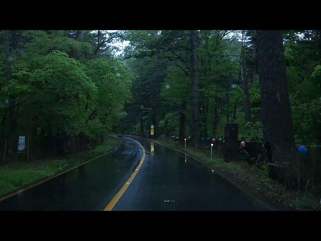 [4K. Rain Drive] Experience healing while running through a deep forest path in the rain. rain sound