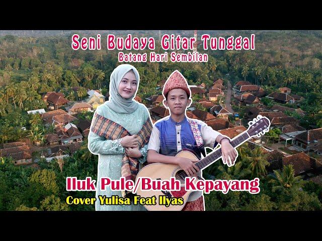 Iluk pule/buah kepayang cipt : NN (cover yulisa feat ilyas)