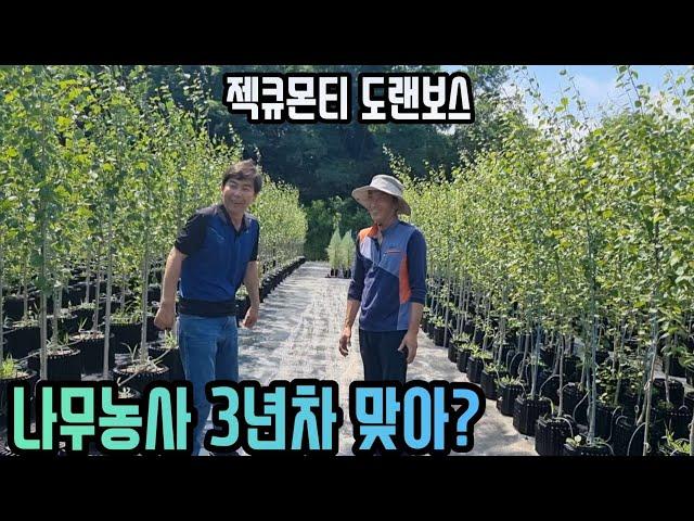 이게 가능해? 재배 3년차 자작나무농원이 보여주는 놀라운 퀄리티