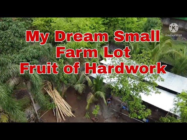 Farm Lot  Fruit of hardwork.