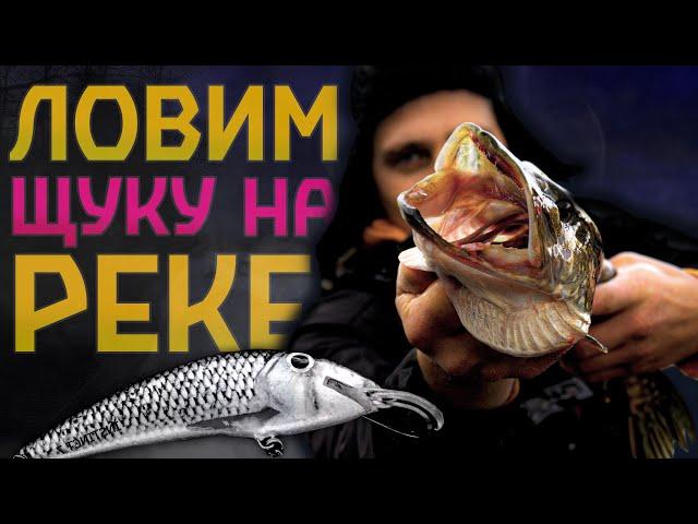 ЛОВЛЯ ЩУКИ в ОКТЯБРЕ на РЕКЕ х ВОБЛЕР против ДЖЕРКА