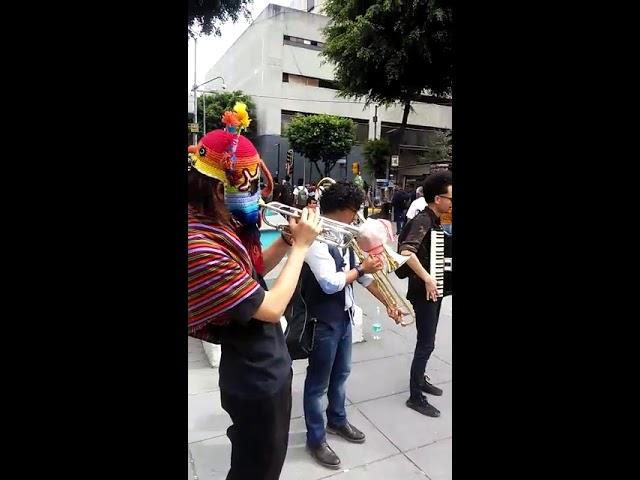 MUSICA EN Zona Rosa CDMX