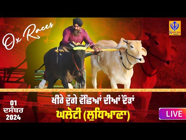 [Live] Ghaloti | Ludhiana | ਖੀਰੇ ਦੁੱਗੇ ਵੱਛਿਆਂ ਦੀਆਂ ਦੌੜਾਂ | Ox Races | 01 Dec 2024 | Khalsaji Tv