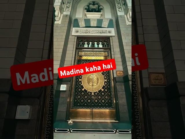 madina kaha hai #viralvideo #viralshortsvideo #newvideo