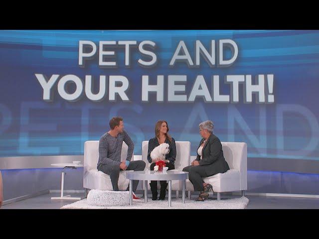 The Health Benefits of Having a Pet