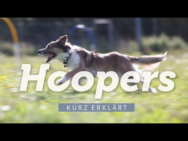 Hundesport Hoopers – Kurz erklärt von Mira Klatt