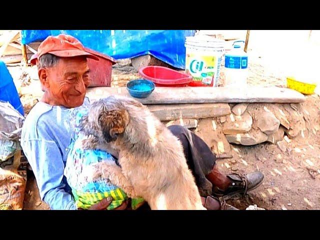 50 años vive el hombre solo en la orilla del mar los amigos llevan regalos para el // TIO Adrián //