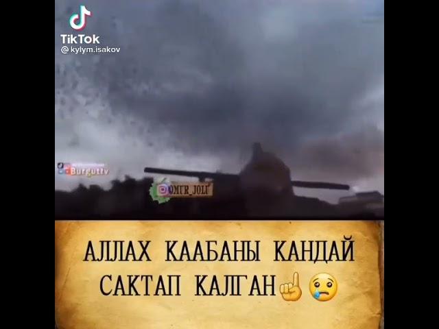 АЛАХЫМ КААБАНЫ кантип сактап калган .