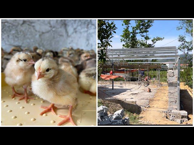 Chicken farming - How to Design a Free Range Chicken Coop.