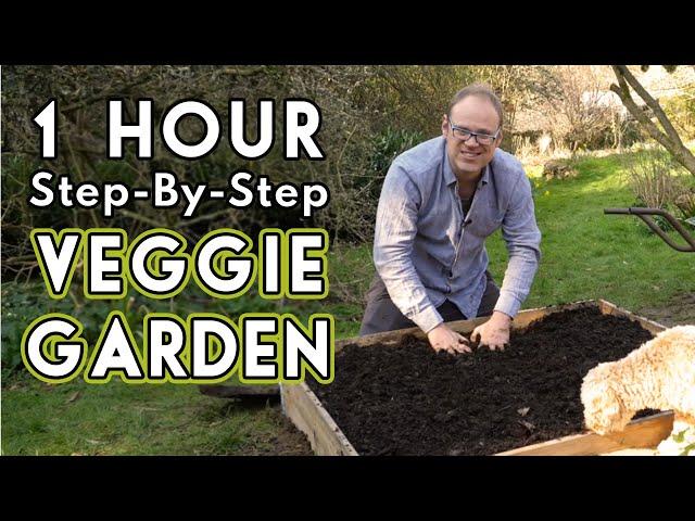 New Vegetable Garden: How To Get Started