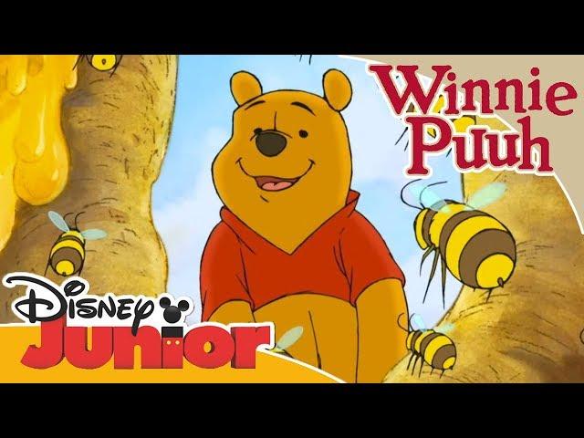 Kleine Abenteuer mit Winnie Puuh - Puuh und die Honigbienen | Disney Junior