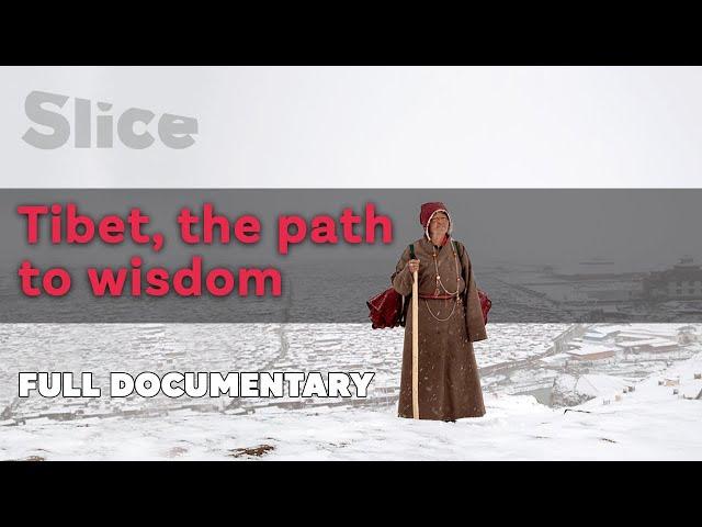 Tibet, the path to Wisdom | SLICE | Full documentary