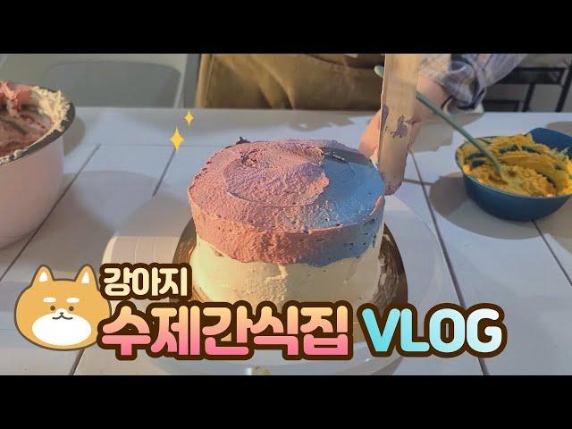 강아지 수제간식집 VLOG 강아지 케이크, 도넛, 치킨, 소품 하울