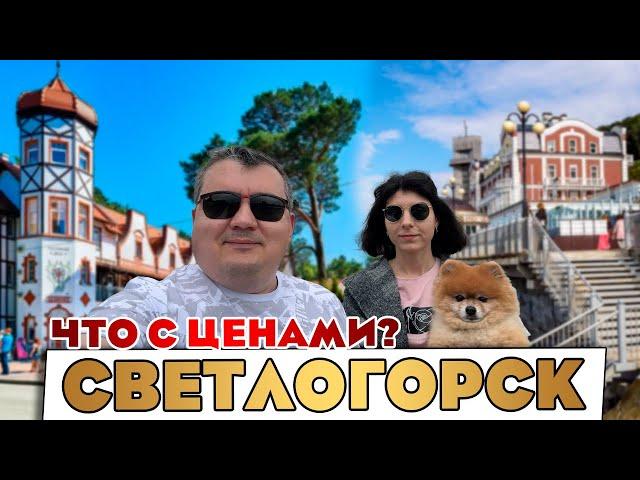 Светлогорск - ЧТО ЗА ЦЕНЫ?! Как развлекаться в Светлогорске. Что можно посмотреть?!