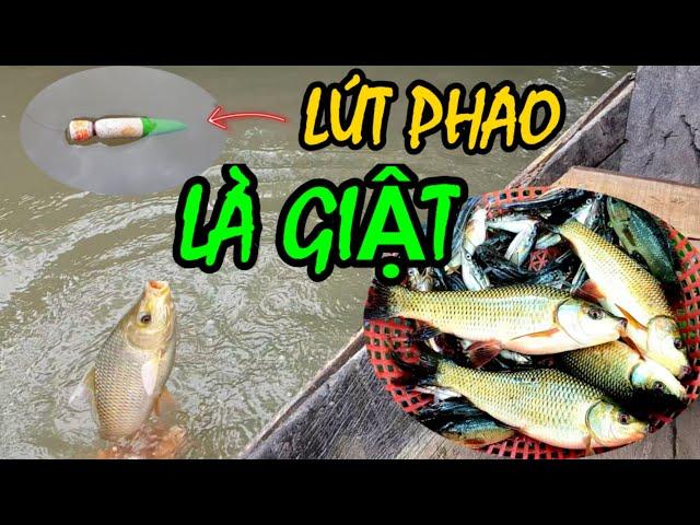 Câu Cá Chốt Và Cái Kết | Liêm Vlogs