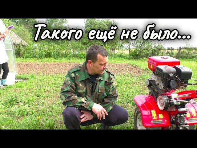 В Деревне Беларуси Такого Мая ещё не было...