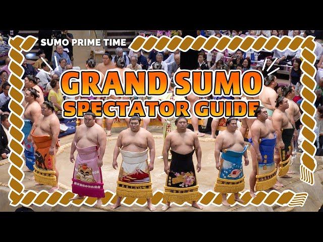 Essential Tips for a Thrilling Live Sumo Experience