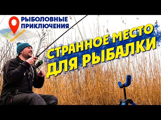 Открываем ФИДЕРНЫЙ Сезон 2021 на Дельте Днепра! Рыболовные приключения №18. Фидерная рыбалка