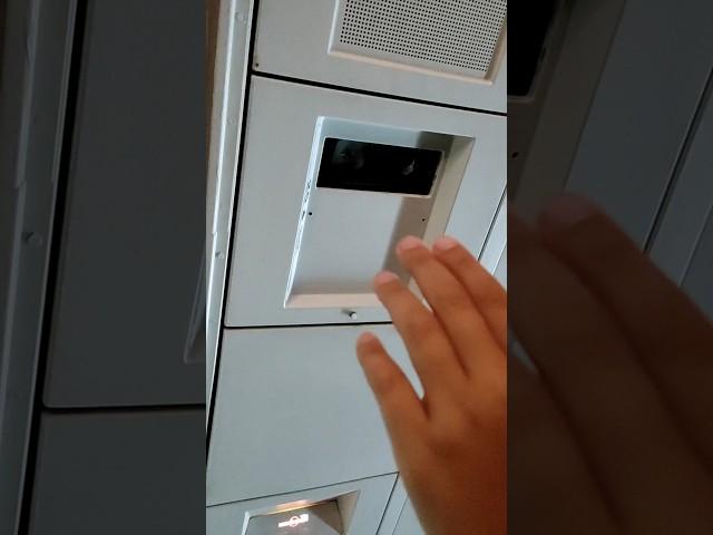 Фокус с лампочкой в самолете из Мальдив. Канал Тутси-диеты и путешествия. @tutsi-dieti