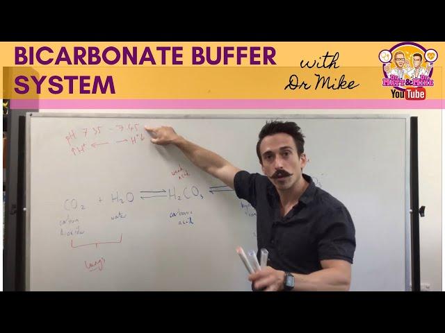 Bicarbonate Buffer System